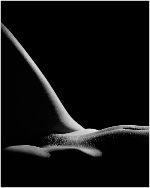 2134_19.jpg