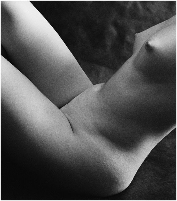 6490_10.jpg